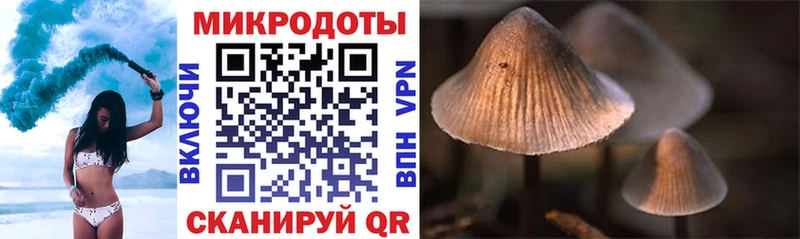 купить наркоту  Малоархангельск  мега ONION  Галлюциногенные грибы мухоморы 
